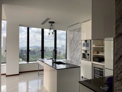 The Scotts Tower (D9), Condominium #346942451